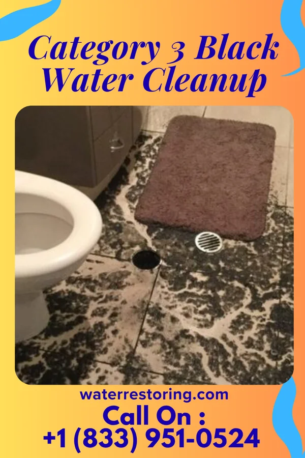 Category 3 Black Water Cleanup in Ballwin, MO